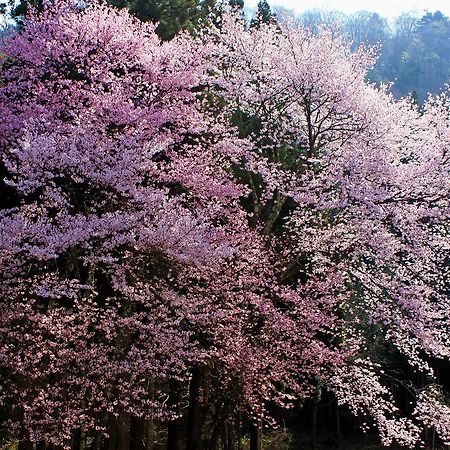 Minamiaizu Aizu Astraea Hotel מראה חיצוני תמונה